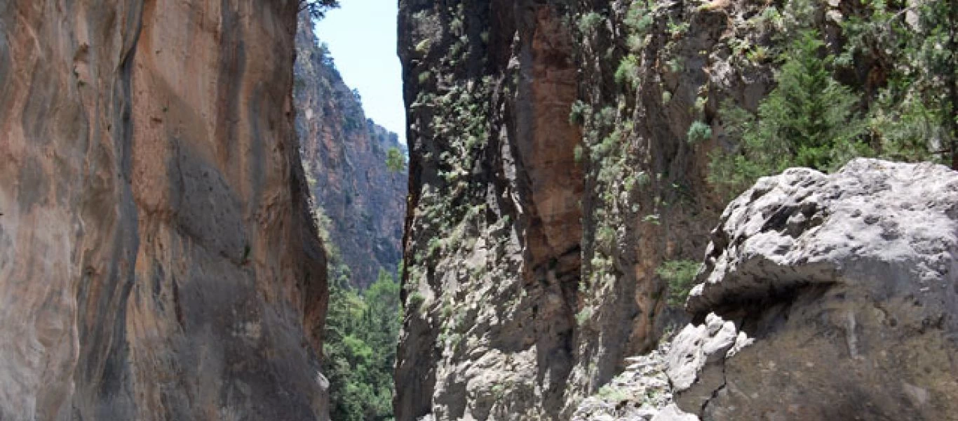 Φθιώτιδα: Νεαροί εγκλωβίστηκαν σε φαράγγι - Συναγερμός στην Πυροσβεστική